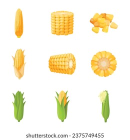 Corn icons set cartoon vector. Cereal plant. Grain food field