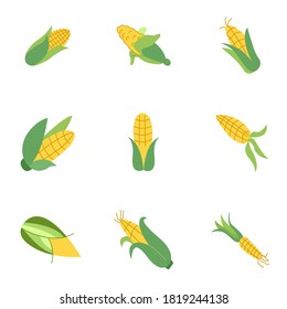 Corn icons. Vector illustration isolated on white background. Concept for organic products label, harvest and farming, grain, bakery, healthy food.