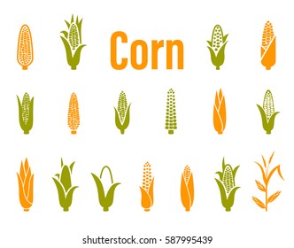 Corn icons. Vector illustration isolated on white background. Concept for organic products label, harvest and farming, grain, bakery, healthy food.