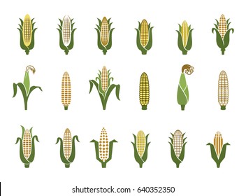 Corn icons. Vector illustration isolated on white background. Concept for organic products label, harvest and farming, grain, bakery, healthy food.