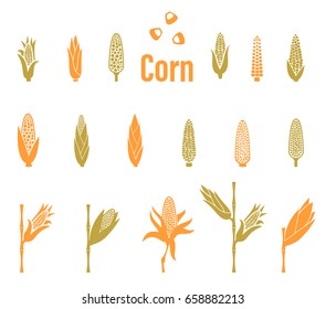 Corn icons. Vector illustration isolated on white background. Agriculture Logo template.