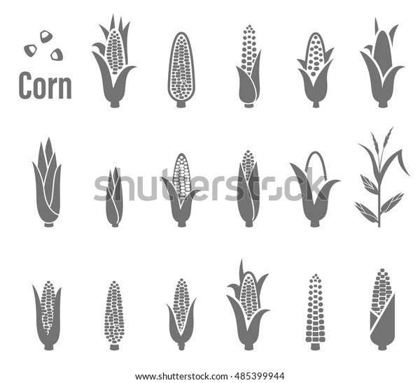 Corn icons. Vector illustration isolated on\
white background.