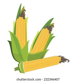 corn illustration, doodle style