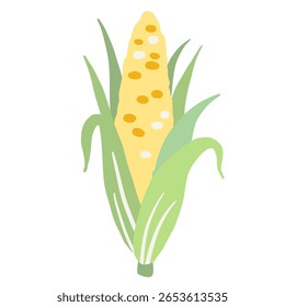 Corn Illustration of fresh vegetables hand drawn flat elements Organic Food Invitations, gifts, greeting cards, print, textile