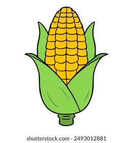 corn illustration hand drawn isolated vector