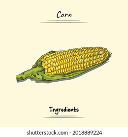 Corn Illustration Sketch And Vector Style. Good to use for restaurant menu, Food recipe book and food ingredients content.