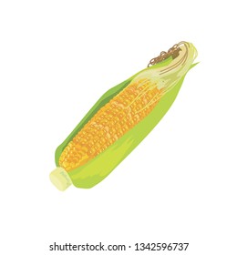 北海道 トウモロコシ畑 のイラスト素材 画像 ベクター画像