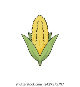 Ilustración de maíz. vector de verduras de fondo blanco.