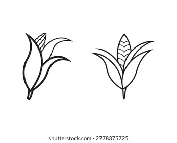 Corn illustrations and leaves