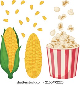 Corn. Image of corn with leaves. An ear of corn. Popcorn in a bucket. Fried corn. Vector illustration