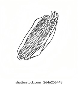 Corn image sketch. Food symbol vector illustration on white background