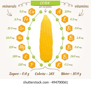 Corn infographics, nutrition facts, calories and analysis. Vector illustration. The content of minerals and vitamins in sweetcorn. Vector illustration.