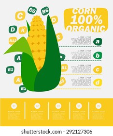 Corn , infographics. vegetables vector illustration.