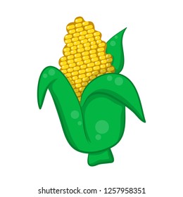 Corn isolated illustration on white background
