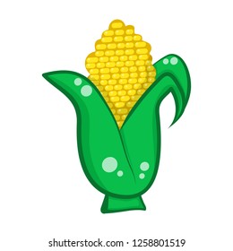 Corn isolated illustration on white background