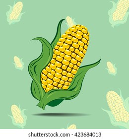 Corn Isolated on blue Background.