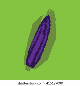 Corn isolated on a colorful background. Vector illustration.
