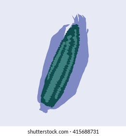 Corn isolated on a colorful background. Vector illustration on white