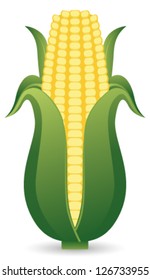 Corn isolated on white background. Vector illustration.