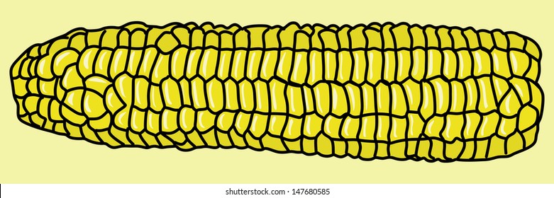corn, isolated on white background, illustration