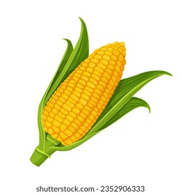 corn isolated on white background. Vector eps 10. perfect for wallpaper or design elements