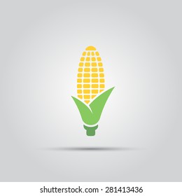 corn isolated vector colored single icon