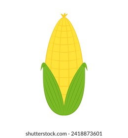 Corn isolated vector .halves and grains in different angles on a white. Corn vector.