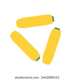 Corn isolated vector .halves and grains in different angles on a white. Corn vector.