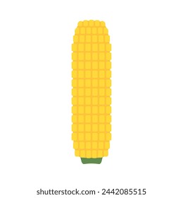 Vector aislado de maíz .mitades y granos en diferentes ángulos en un blanco. Vector de maíz.