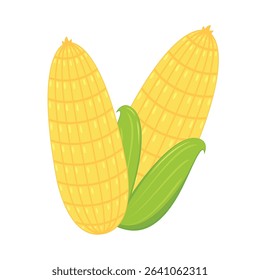 Corn isolated vector .halves and grains in different angles on a white. Corn vector.