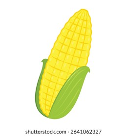 Corn isolated vector .halves and grains in different angles on a white. Corn vector.