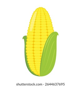 Corn isolated vector .halves and grains in different angles on a white. Corn vector.