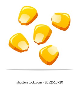 Corn kernel maize vector isolated illustration