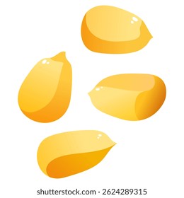 Corn Kernels Isolated on White Background