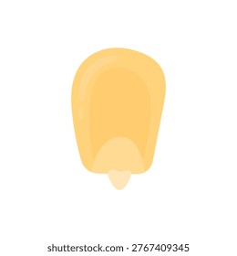 Corn kernels on a white background. Natural products. Healthy eating. Corn growing concept.
