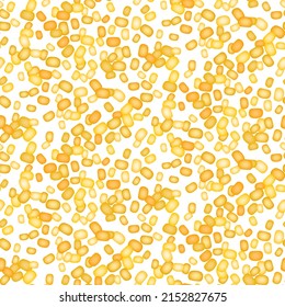 Corn kernels. Seamless pattern of ripe corn seeds on white background. Summer, autumn harvest. Canned vegetables, vegetarian food. Vector design for textile, fabric, packaging, wallpaper