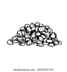 Corn kernels. Vector graphics depicting a bunch of corn kernels. Black and white hand-drawn illustration. On a white background. Great for stickers, banners, posters and packages.