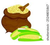 corn is kind of grain food and categorized as cerealia.