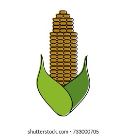 corn knob vegetable icon image 