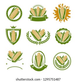 Corn label and element set. Collection icon corn. Vector