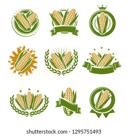 Corn label and element set. Collection icon corn. Vector