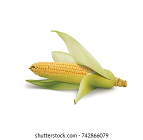 Corn with leaves in a realistic depiction