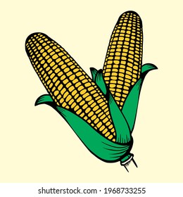 Corn with leaves set, vector illustration, hand drawing sketch