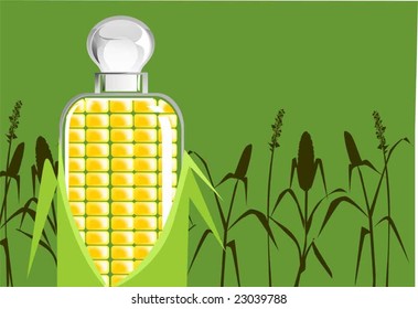  corn with light in colour background	