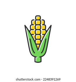 Corn line color icon. Ear of corn vector sign.