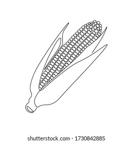 Corn line drawing vector. Food concept. Isolated icon. Vegetable Vector Design. Design linear artwork element. Flat design. one-line object.
