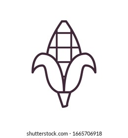 Diseño de iconos de estilo de línea de maíz, agricultura vegetal de alimentos, maíz verde de planta y tema orgánico Ilustración vectorial
