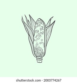 Ilustración vectorial de la línea de maíz. Icono de Comida detallada para concepto móvil, impresión, menú y aplicaciones web. Para restaurante, bar, vegano, comida saludable y orgánica, mercado, mercado de agricultores.