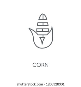 Corn linear icon. Corn concept stroke symbol design. Thin graphic elements vector illustration, outline pattern on a white background, eps 10.