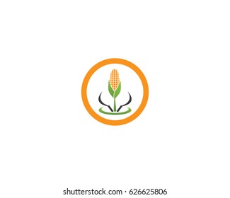 Corn Logo Stock Vector (Royalty Free) 626625806 | Shutterstock